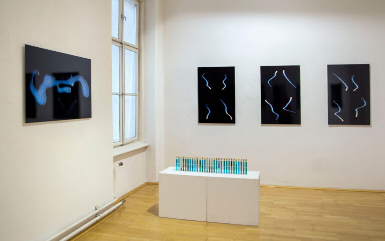 2025 Galerie Marenzi (Generated by repetition)