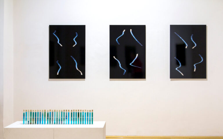 2025 Galerie Marenzi (Generated by repetition)